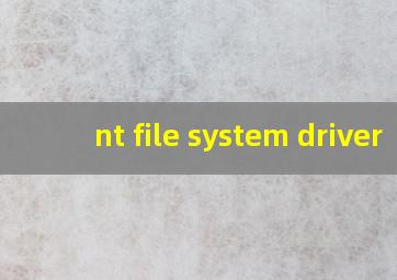 nt file system driver